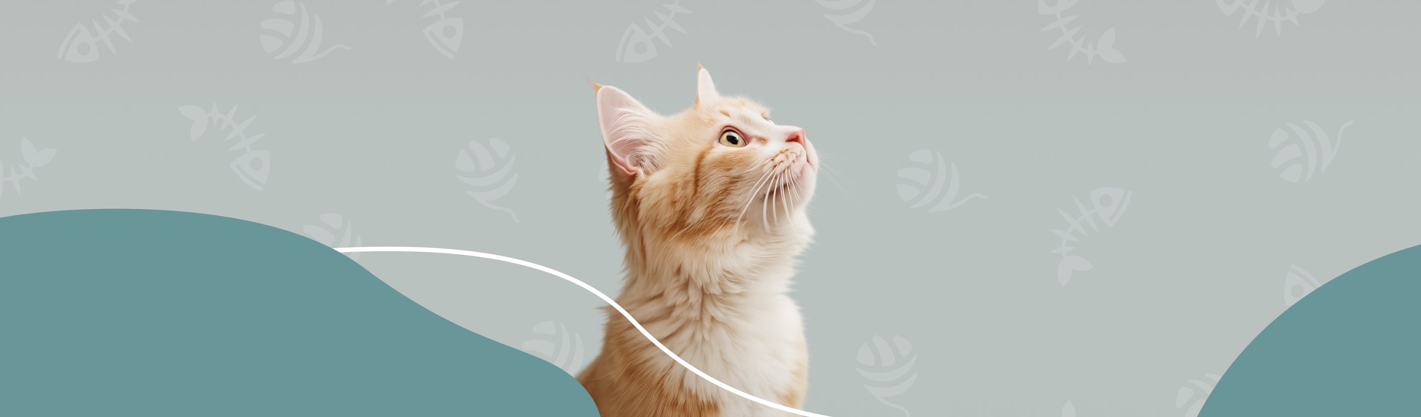 Bannière représentant un chat roux regardant vers le haut, sur un fond vert clair orné d'icônes de poissons, de pelotes de laine et de formes ondulées en turquoise.