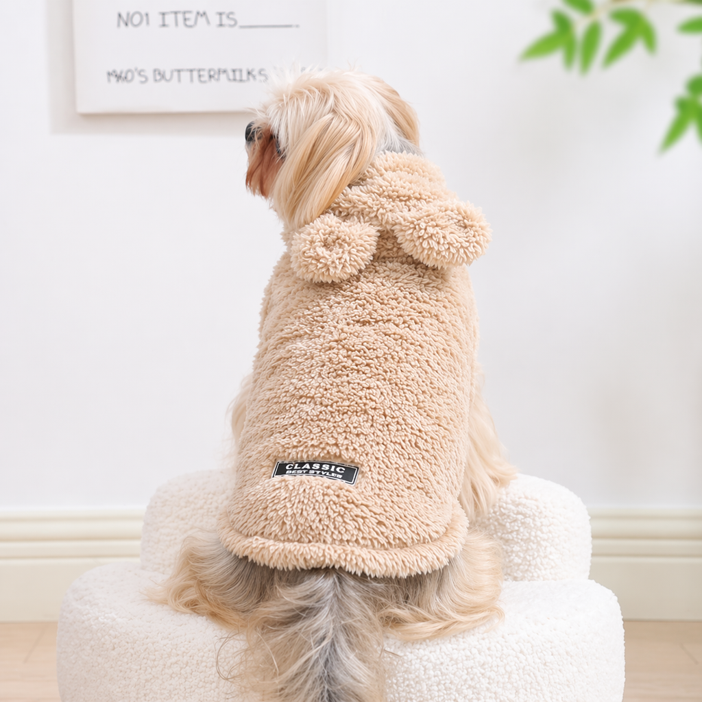 Sweatshirt à capuche