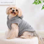 Sweatshirt à capuche