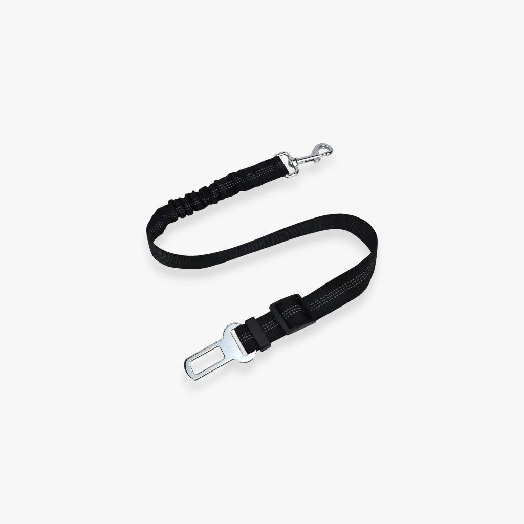 Ceinture de sécurité réglable pour chien et chat en voiture