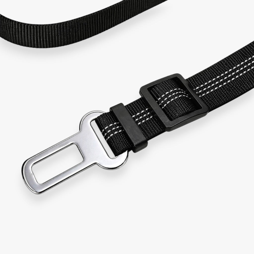 Ceinture de sécurité pour chien et chat, harnais de retenue en voiture