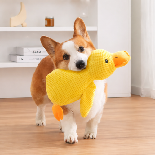 Canard en peluche apaisant pour chien et chat, jouet réconfortant