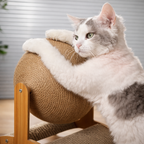 Plateforme griffoir en bois avec balles pour chat, jeu interactif