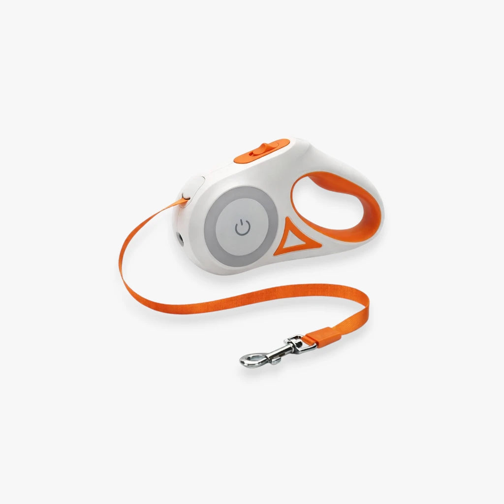 Laisse rétractable lumineuse orange pour chien avec éclairage intégré