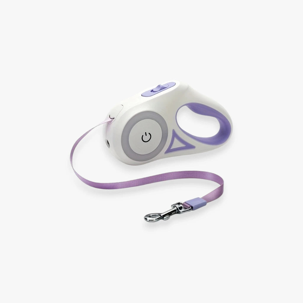 Laisse rétractable lumineuse pour chien en violet, accessoire de promenade sécurisé