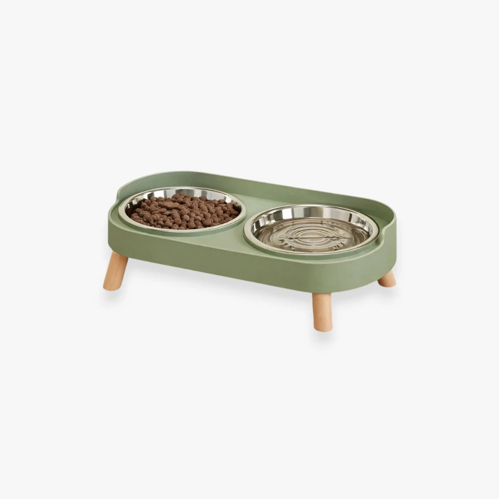 Gamelle surélevée verte pour chat et chien, design ergonomique