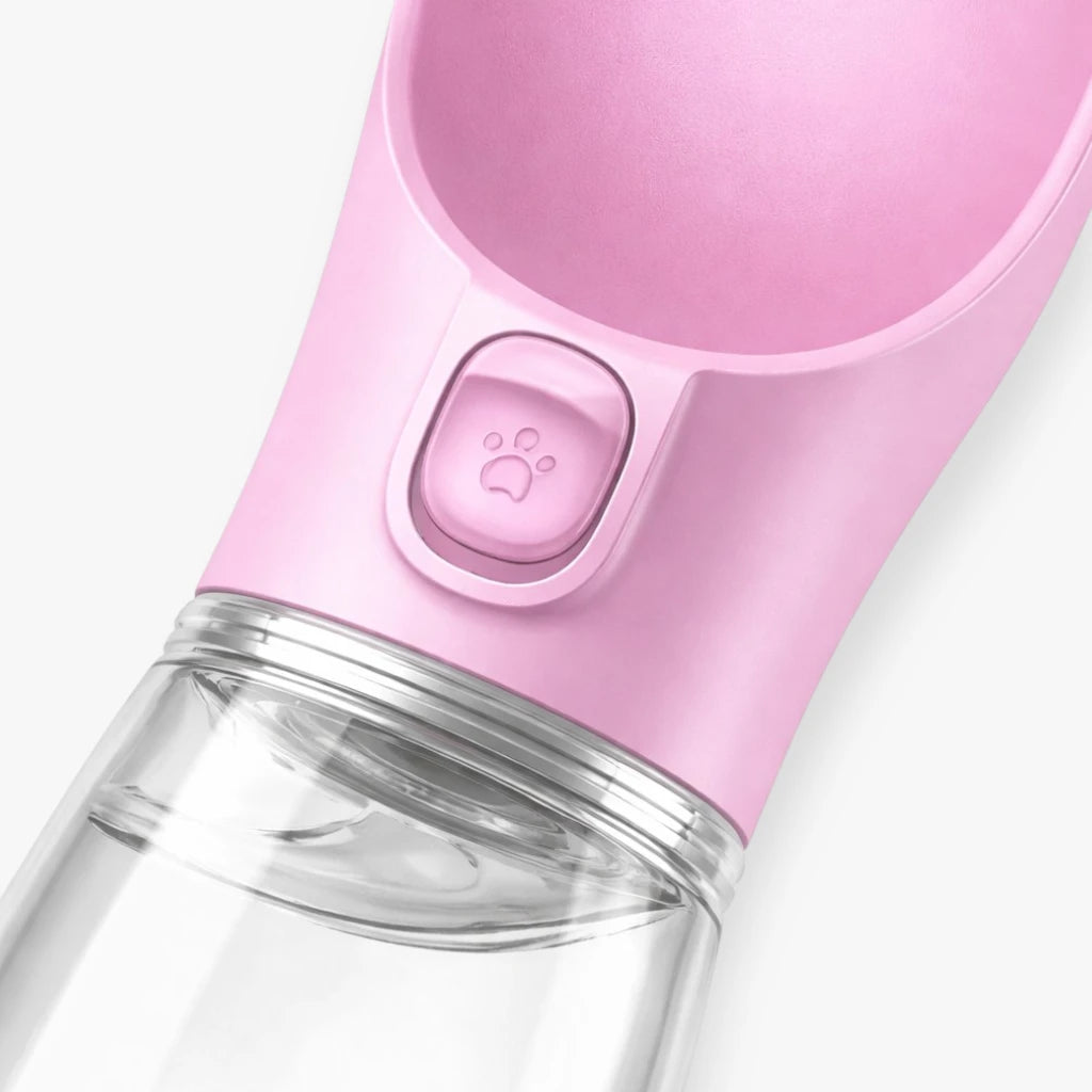 Gourde portable pour chien et chat, abreuvoir de voyage pratique