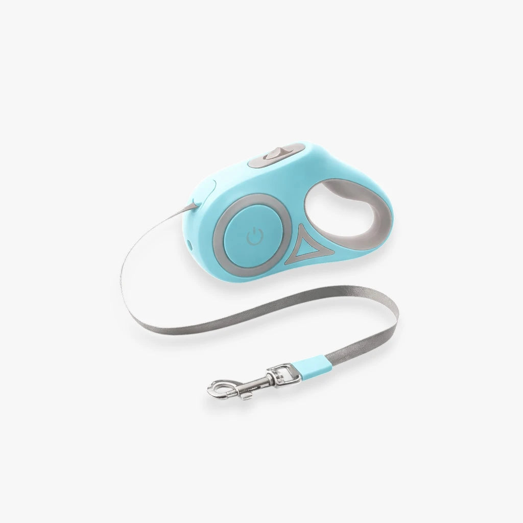 Laisse rétractable lumineuse verte pour chien avec éclairage LED intégré