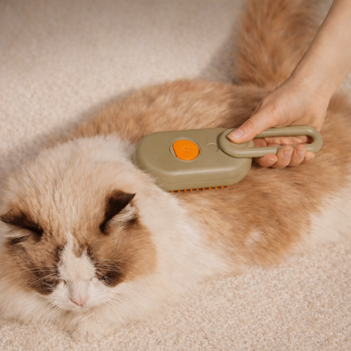 Brosse spray pratique pour démêler et soigner le pelage du chat