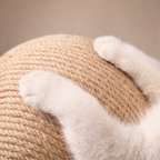 Boule à griffes interactive pour chat avec jouet suspendu