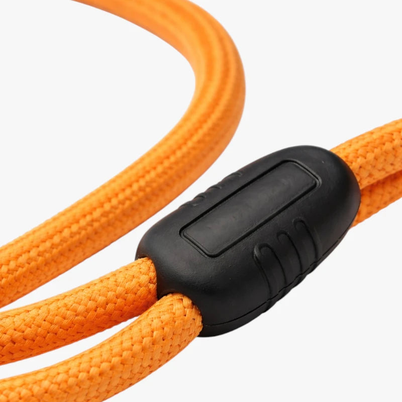 Laisse longue extensible 5M-15M pour chien, idéale pour l'entraînement et les promenades