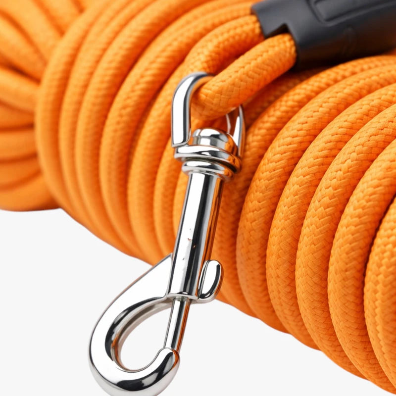 Laisse longue extensible 5M-15M pour chien, réglable et sécurisée
