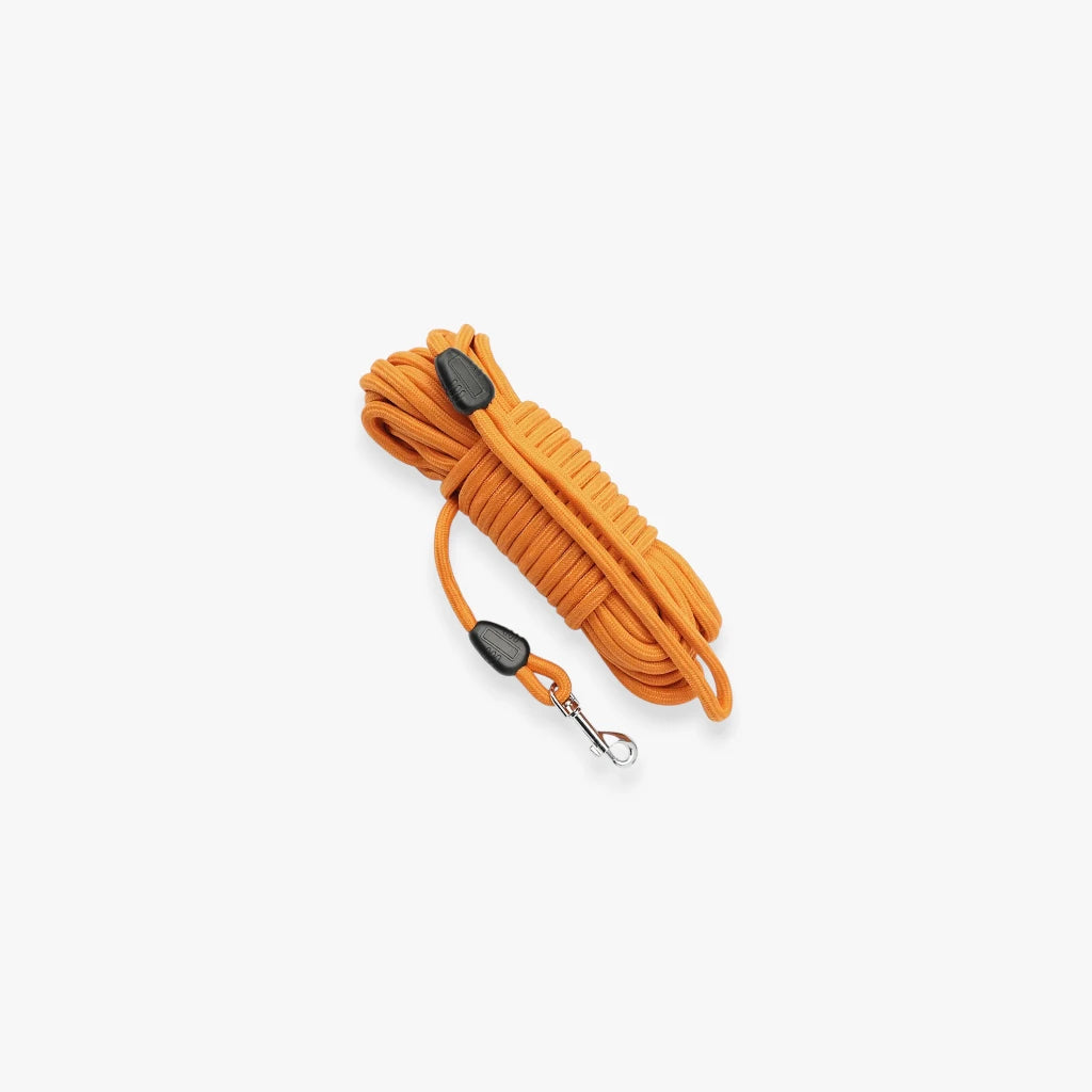 Laisse longue extensible 5M-15M pour chien, réglable et durable